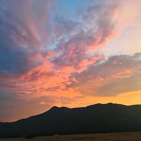 Agriturismo Il Ginepro フルミニマッジョーレ エクステリア 写真