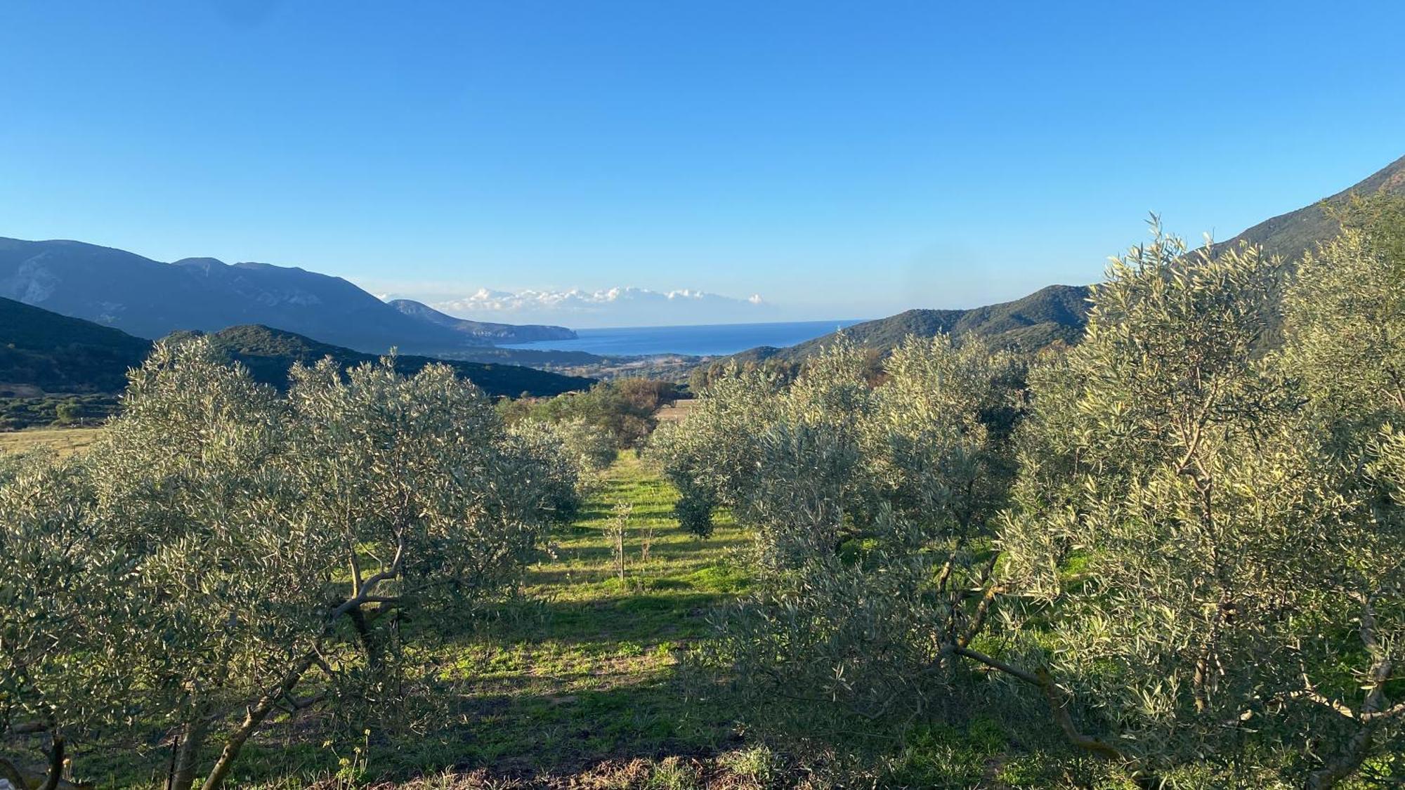 Agriturismo Il Ginepro フルミニマッジョーレ エクステリア 写真