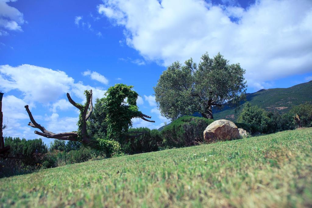 Agriturismo Il Ginepro フルミニマッジョーレ エクステリア 写真