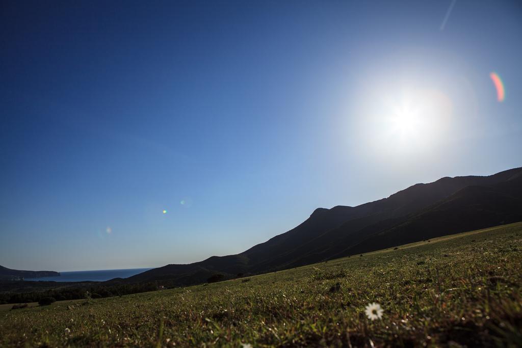 Agriturismo Il Ginepro フルミニマッジョーレ エクステリア 写真