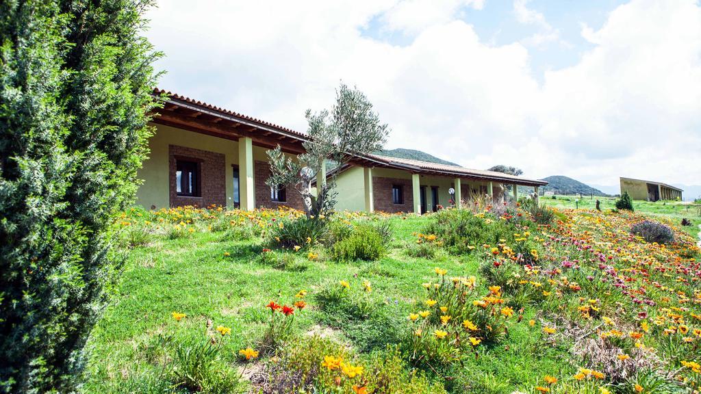 Agriturismo Il Ginepro フルミニマッジョーレ 部屋 写真