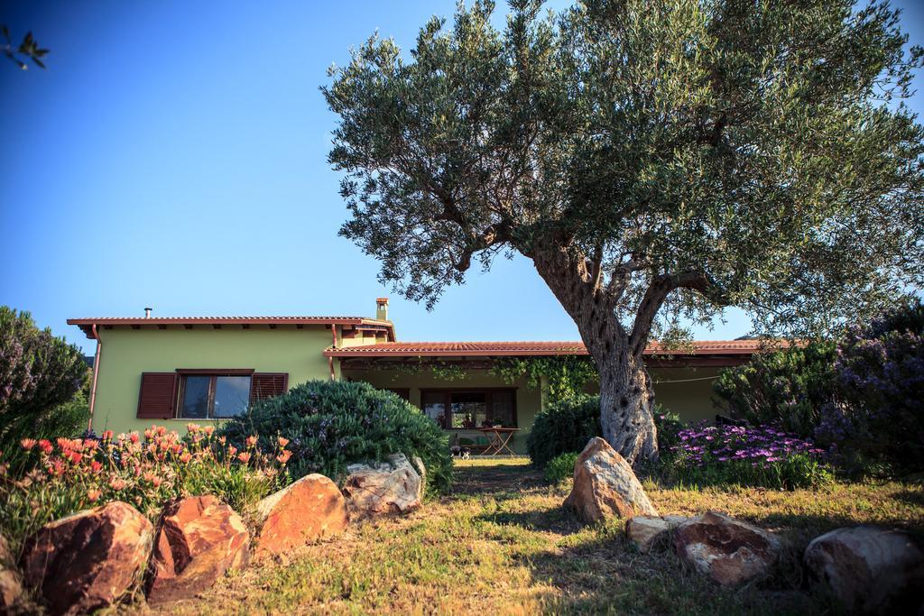 Agriturismo Il Ginepro フルミニマッジョーレ エクステリア 写真