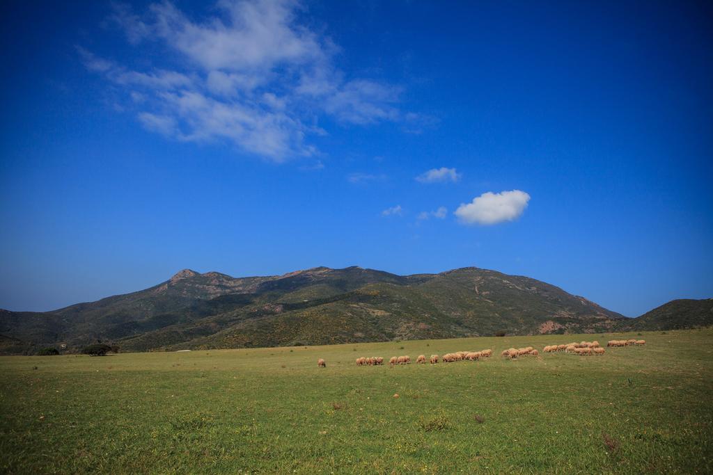 Agriturismo Il Ginepro フルミニマッジョーレ エクステリア 写真