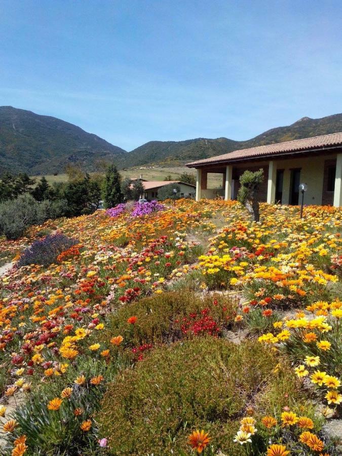Agriturismo Il Ginepro フルミニマッジョーレ エクステリア 写真